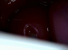 Cumming inside pov gif