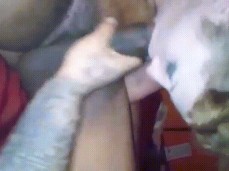 cuckold helping hand gif