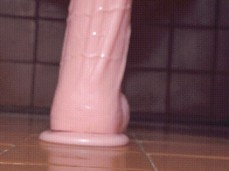 HUGE DILDO gif