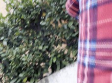 Public park big cock boner pajamas gif