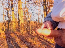 All is well that ends well: big cumshot at sunset in the woods 12011  gif