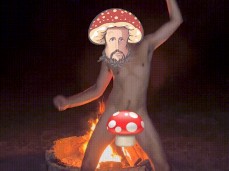 MUSHROOM JESUS - DANCING ON FIRE gif