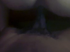 ir doggy 198 gif