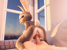 hopps gif