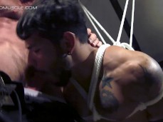 bound Draven Torres sucks mature, bald, bearded Matt Stevens 0218 7 gif