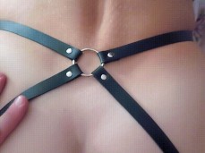 Harness gif