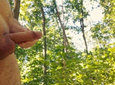 No wonder Czech forests thrive: they get supplementary food 1515-1 10 gif